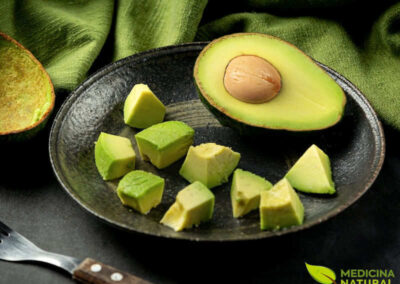 Abacate - Persea americana