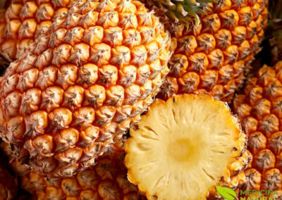 Abacaxi - Ananas comosus