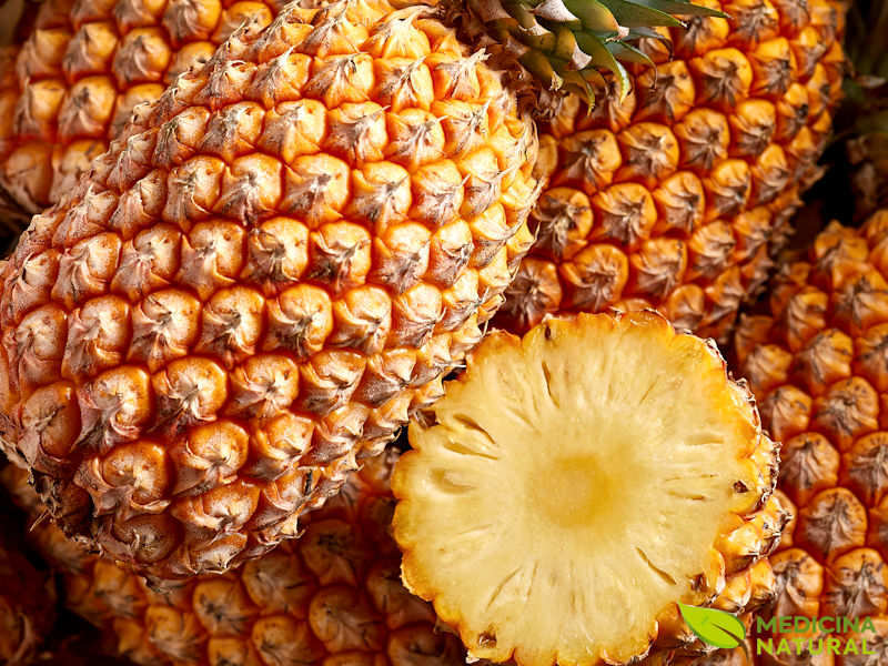 Abacaxi - Ananas comosus