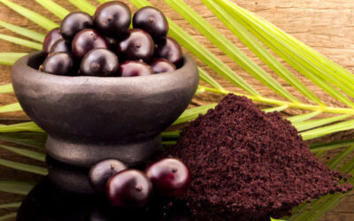 Açaí: veja para que serve o fruto e polpa