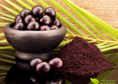 Açaí - Euterpe oleracea