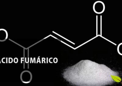 Estrutura química da molécula de ácido fumárico.