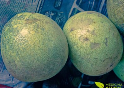 Aegle marmelos - Bael