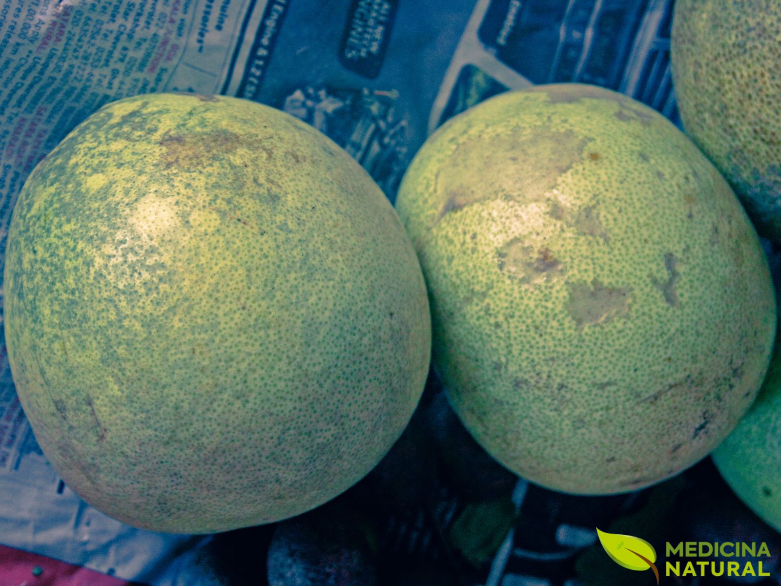 Aegle marmelos - Bael