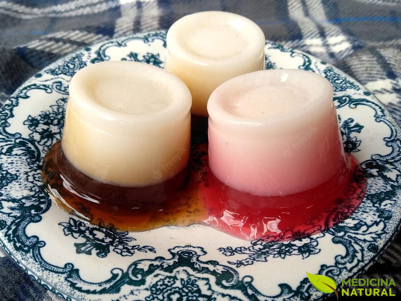 Gelatina de agar-agar