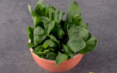 Agrião: saiba para que serve a verdura