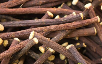 Alcaçuz: saiba para que serve a raiz