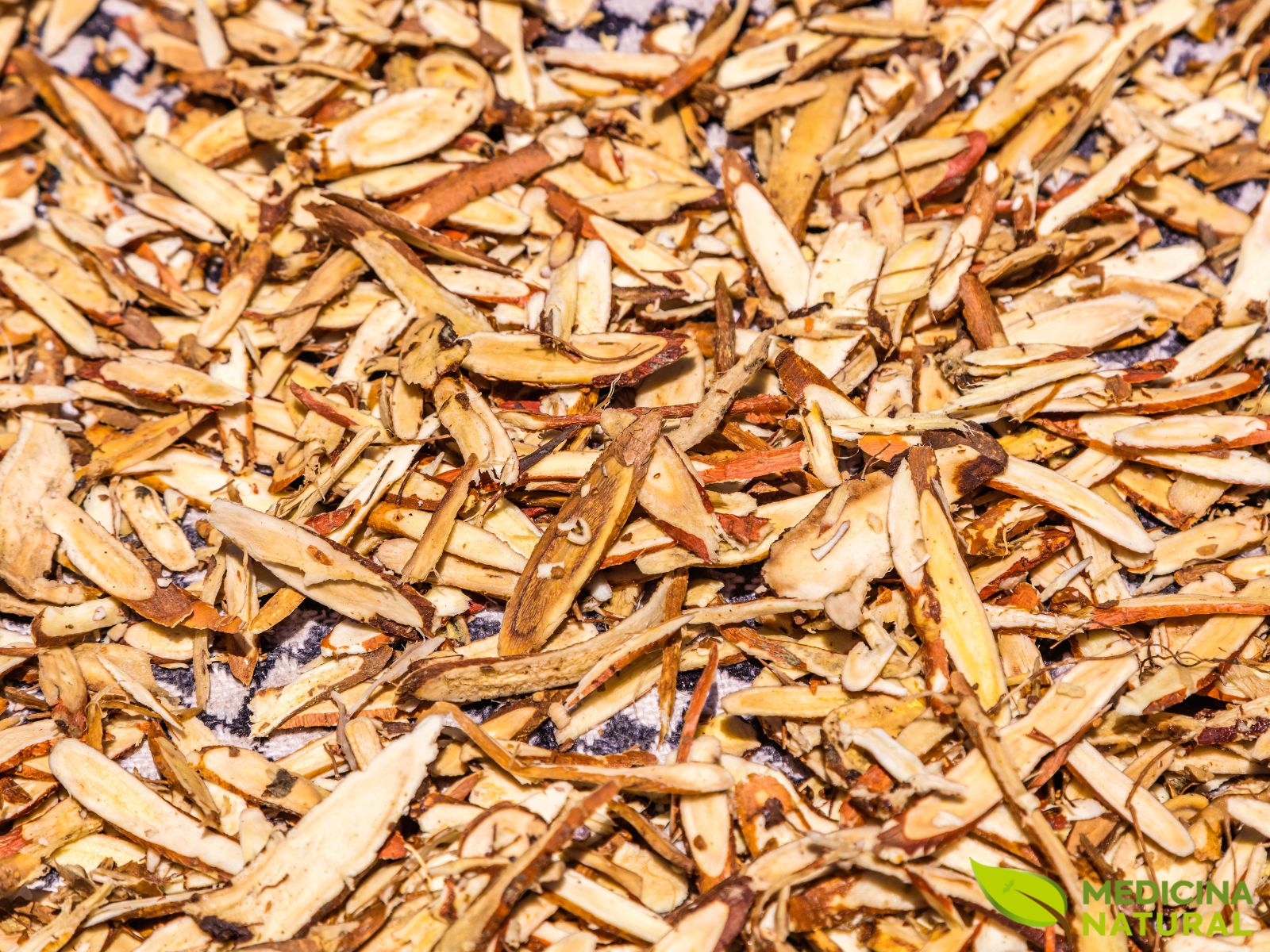 Glycyrrhiza uralensis - ALCAÇUZ-CHINÊS