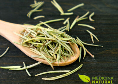 Alecrim - Rosmarinus officinalis