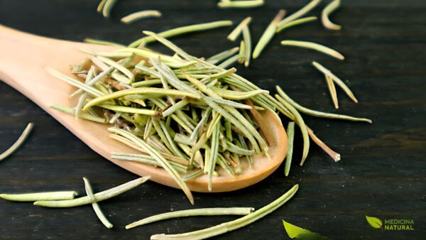 Alecrim - Rosmarinus officinalis