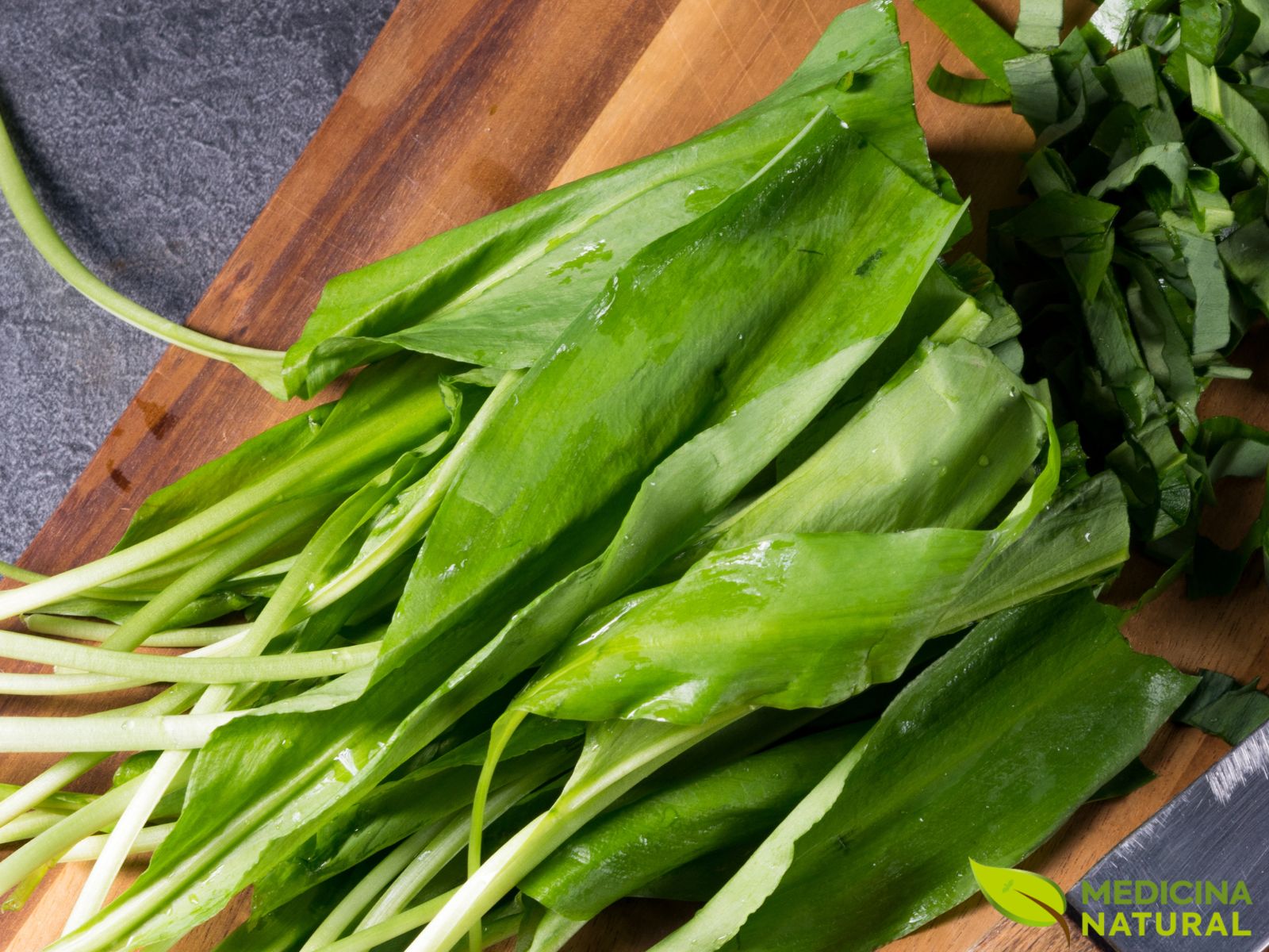 Allium ursinum - ALHO-DE-URSO