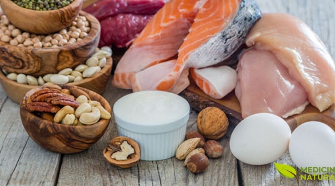 Albumina: Guia Completo da Proteína Essencial para a Saúde