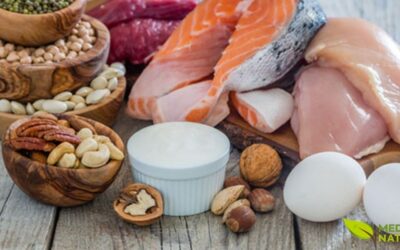 Albumina: Guia Completo da Proteína Essencial para a Saúde