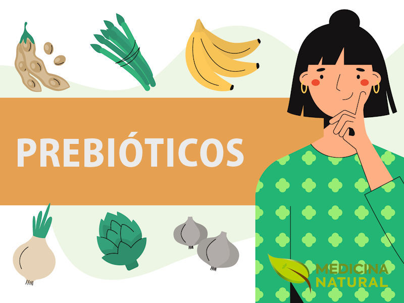 Alimentos prebióticos