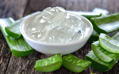 Gel de Aloe vera: saiba para que serve