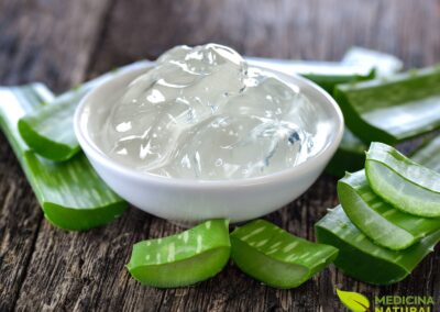 Gel de Aloe vera (babosa)