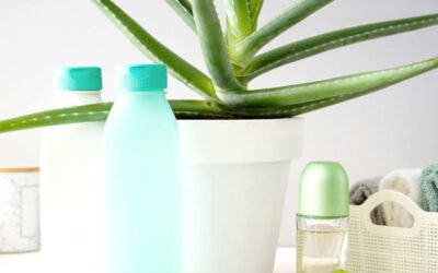 Shampoo de Aloe vera (babosa): benefícios