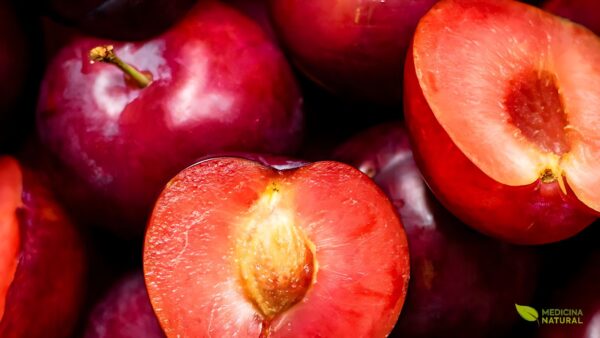 Ameixa - Prunus domestica