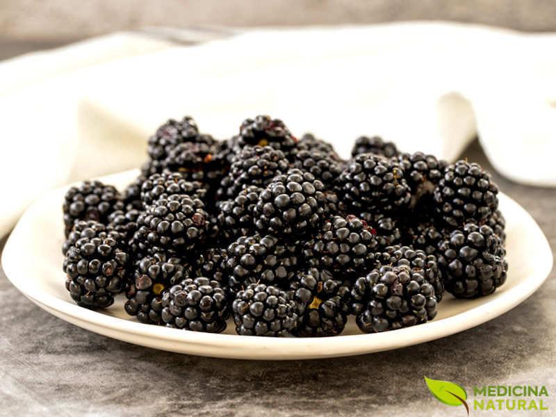 Amora-negra - Rubus nigra