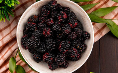 Amora-silvestre: saiba para que serve