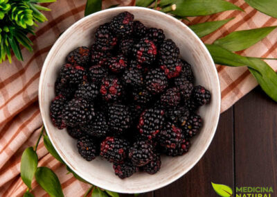 Amora-silvestre - Rubus fructicosus