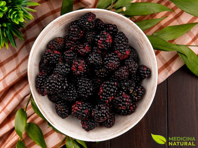 Amora-silvestre - Rubus fructicosus