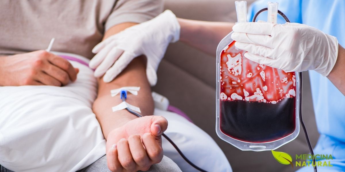 Anemia ferropriva é falta de ferro, e isso reduz hemoglobina, energia e rendimento. O crajiru, também chamado de pariri, é usado tradicionalmente na Amazônia como apoio em quadros de anemia. Algumas análises mostram presença de ferro e compostos fenólicos nas folhas e no chá, o que pode contribuir ao plano alimentar.