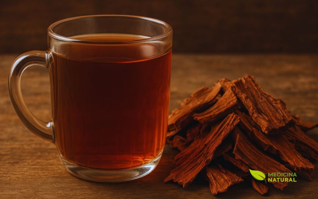 Angico: Árvore Sagrada do Sertão e o Poder do Chá de Sua Casca