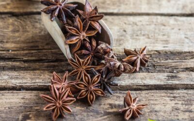 Illicium verum – ANIS-ESTRELADO