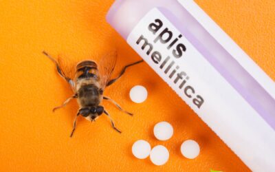 Apis mellifica: Saiba Para Que Serve o Remédio Homeopático