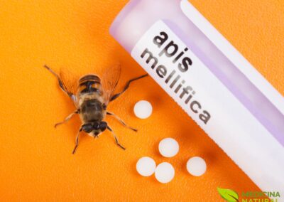 Apis mellifica - Abelha melífera