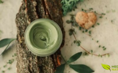 Argila Verde Francesa: Guia Completo Para Pele Perfeita