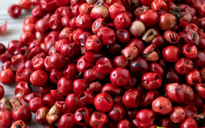 Aroeira: saiba para que serve o chá