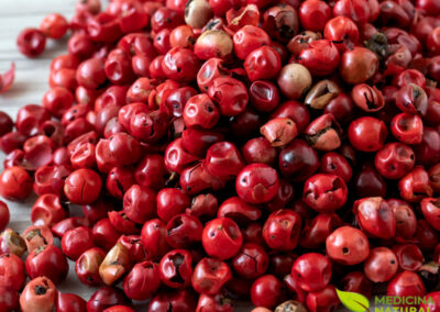 Aroeira - Schinus terebinthifolius