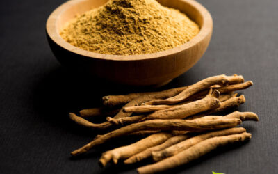 Ashwagandha: saiba para que serve a raiz