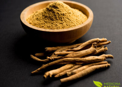 Ashwagandha - Withania somnifera