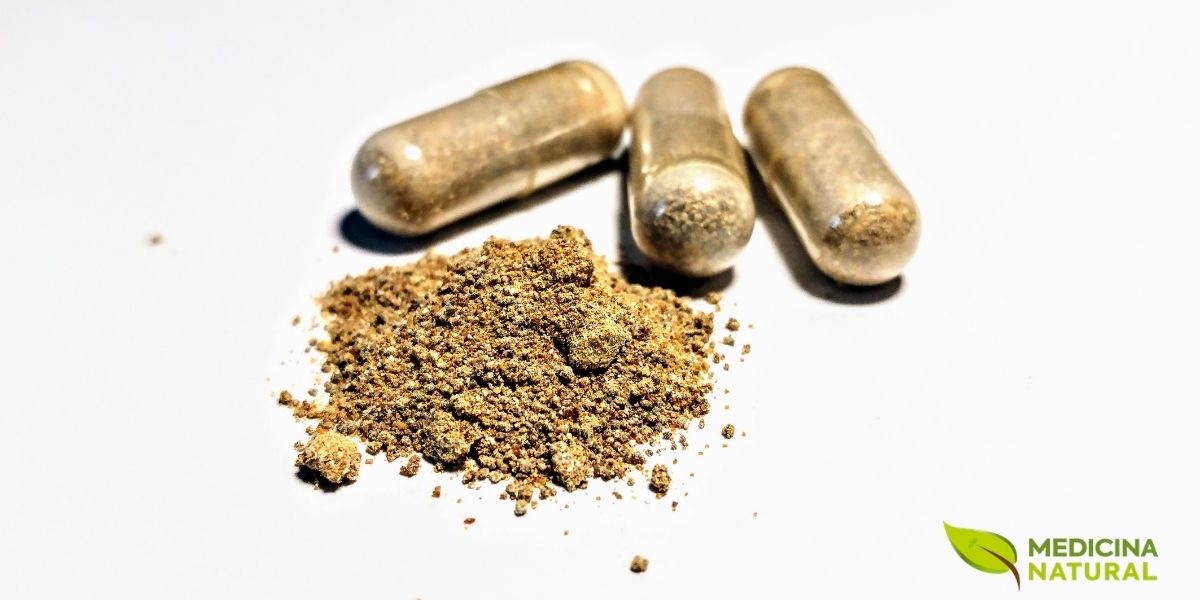 As cápsulas de Ashwagandha são uma opção prática para quem busca seus benefícios de forma dosada e conveniente. Elas oferecem uma maneira fácil de incorporar a erva na rotina diária, auxiliando no equilíbrio hormonal e na redução dos níveis de cortisol, o hormônio do estresse.