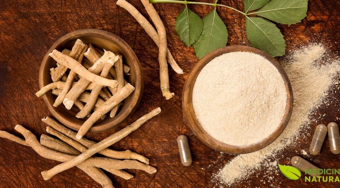 Ashwagandha: Para Que Serve e Como Usar o Ginseng Indiano