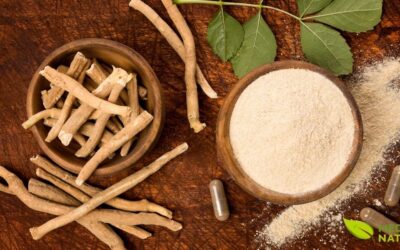 Ashwagandha: Para Que Serve e Como Usar o Ginseng Indiano