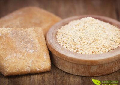 Ferula foetida - ALHO-DO-DIABO; ASSA-FÉTIDA; ASA-FÉTIDA