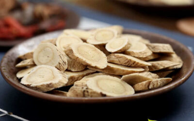 Astrágalo: saiba para que serve a planta