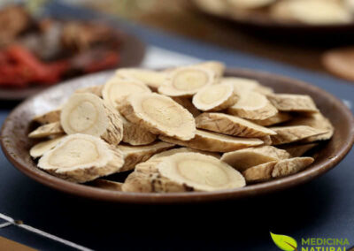 Astrágalo - Astragalus membranaceus