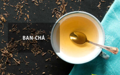Ban-chá (bancha): Camellia sinensis