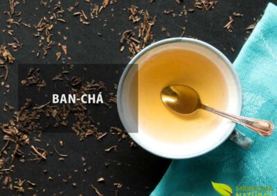 Ban-chá (bancha) - Camellia sinensis