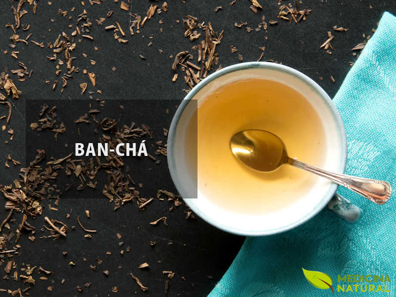 Ban-chá (bancha) - Camellia sinensis