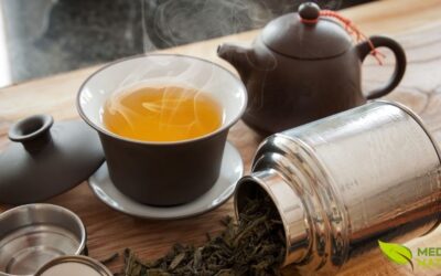 Chá Bancha: Guia Completo do Chá Japonês do Cotidiano