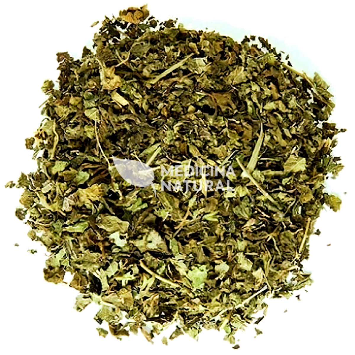 Chá de Bardana - Arctium lappa