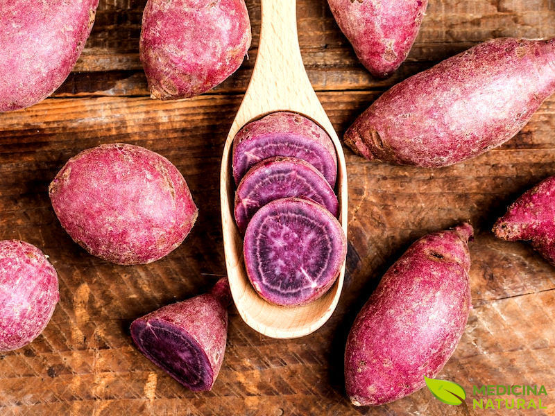 batata-doce-roxa - Ipomoea batatas
