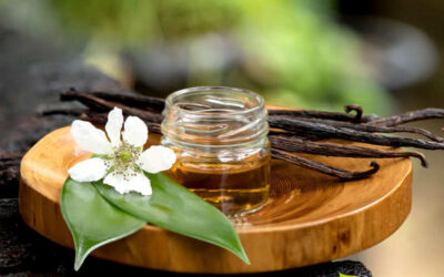 Baunilha: saiba para que serve a flor