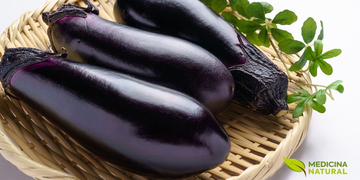 A Solanum melongena apresenta uma incrível diversidade de variedades, resultado de séculos de domesticação e seleção. As berinjelas roxas-escuras, brilhantes e alongadas são as mais comuns no Brasil e na Europa, ricas em nasunina. Existem também variedades brancas (que deram origem ao nome "eggplant" em inglês), variedades verdes, listradas e até pequenas berinjelas redondas usadas na culinária asiática. Cada variedade tem um perfil de sabor e textura ligeiramente diferente. Culinariamente, a berinjela é extremamente versátil: pode ser grelhada, assada, frita, recheada ou transformada em pastas como o baba ganoush do Oriente Médio. Quando cozida, sua textura esponjosa absorve sabores e temperos, tornando-a uma protagonista em pratos vegetarianos e mediterrâneos. A combinação de berinjela com alho, azeite de oliva, tomate e ervas é um clássico que une sabor e saúde.